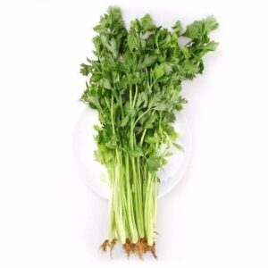 Celery Fresh