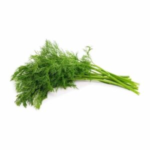 Dill