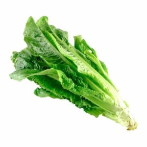 Lettuce