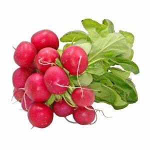 Red Radish