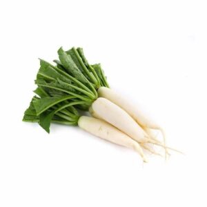 White Radish